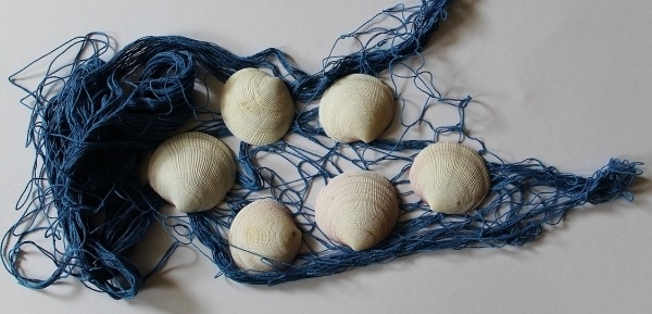 Maritime Deko mit Fischernetz 2 m² und 6 Muscheln